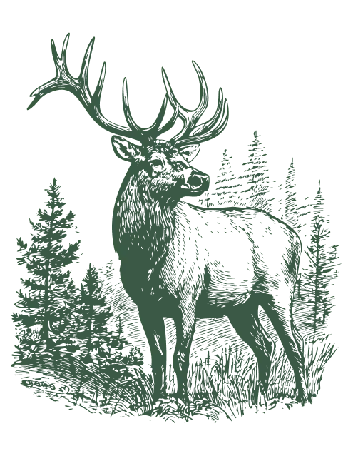 Decorative elk illustration